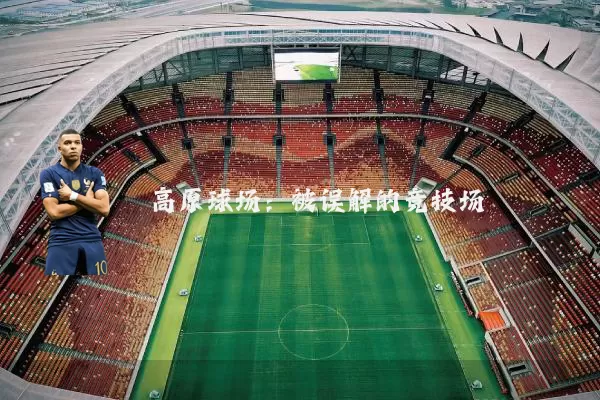 高原球场：被误解的竞技场